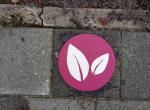Wandelroute 2 Het Groene Lint: Blad