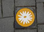 Wandelroute 3 Het Groene Lint: Bloem