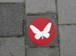 Wandelroute 1 Het Groene Lint: Vlinder