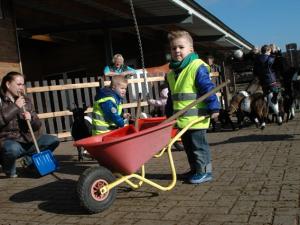 City farm activities City farm activities