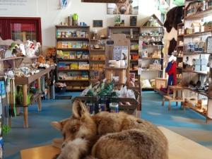 Shop and facilities Shop and facilities