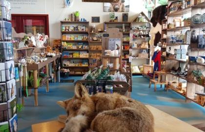 Shop and facilities