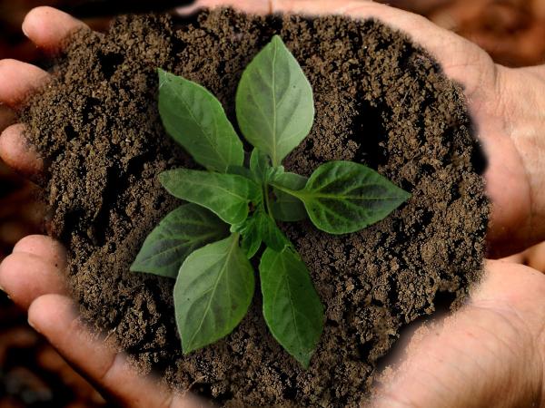 Sustainability... what is it exactly?
