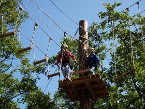 Climbing Climbing