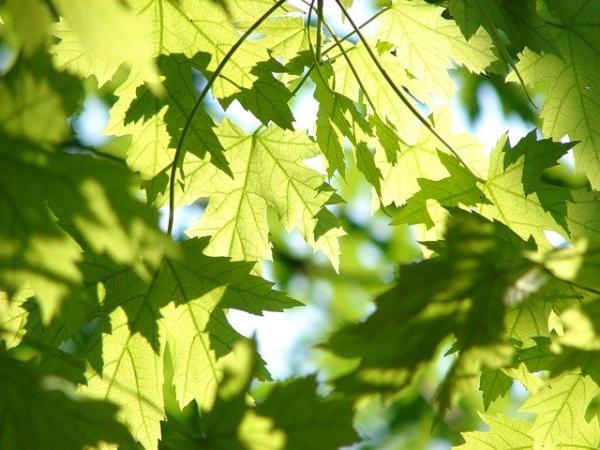Information on sustainable living