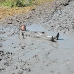 Michiel heerlijk lang uit in de modder. Top dag!!!!