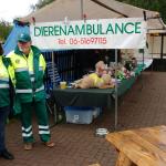 Lentefeest bij de Helderse Vallei, ook de Dierenambulance Den Helder - Hollands Kroon was van de partij!