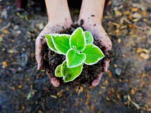 Groene themadagen Groene themadagen