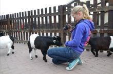 Foto album stadsboerderij