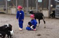 Kinderfeestje op de kinderboerderij!