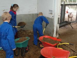 Kinderfeestje op de stadsboerderij Kinderfeestje op de stadsboerderij