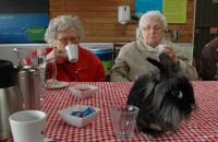 Koffie op de kinderboerderij!