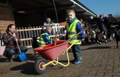 Activiteiten Stadsboerderij