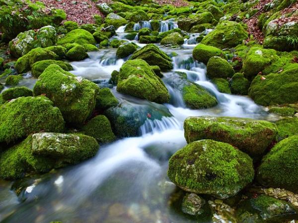 Groene stroom