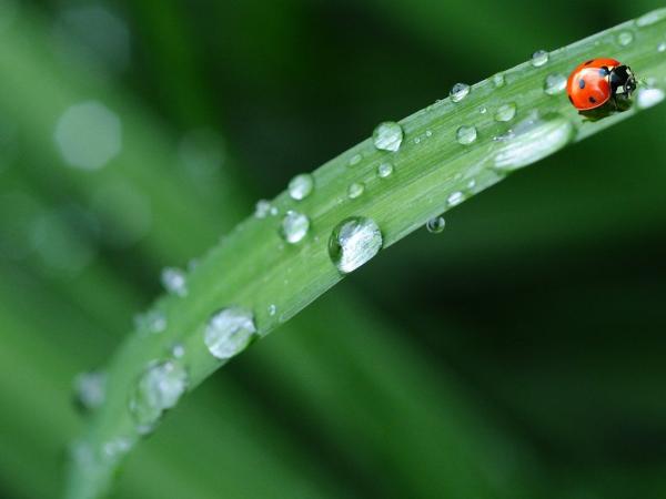 Tips voor een gezonde leefomgeving