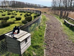 Ontdek het terrein Ontdek het terrein