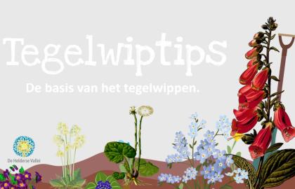 Tegelwiptips