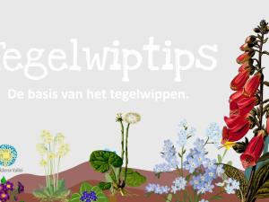 Tegelwiptips Tegelwiptips