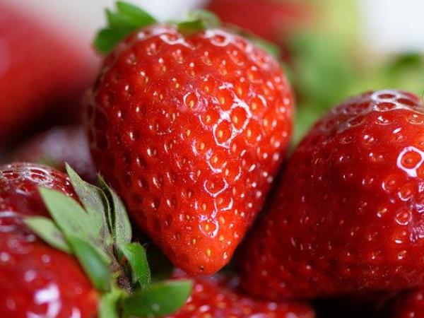 Biologisch, natuurlijk
