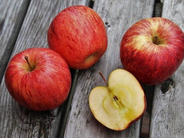 Leren over voeding